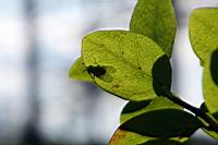 IMG_5089.JPG