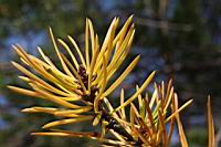 IMG_5091.JPG