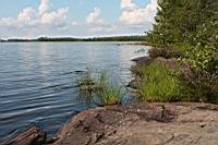 IMG_5102.JPG