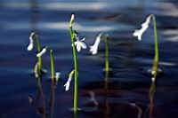 IMG_5152.JPG
