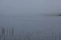 IMG_5245.JPG