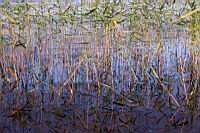 IMG_5271.JPG