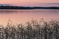IMG_5361.JPG