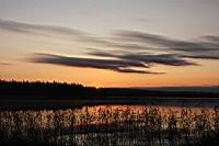 IMG_5385.JPG