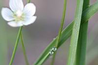 IMG_5463.JPG