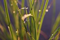 IMG_5479.JPG