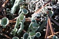 IMG_5553.JPG