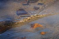 IMG_5560.JPG