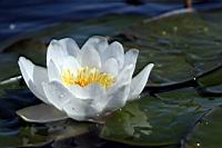 IMG_5643.JPG