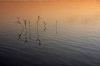 IMG_5936.JPG