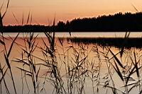IMG_5947.JPG