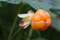 IMG_5975.JPG