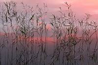 IMG_6036.JPG