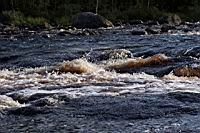 IMG_6059.JPG