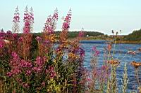 IMG_6404.JPG