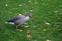 IMG_9812.JPG