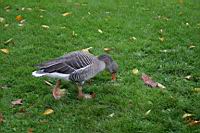 IMG_9813.JPG
