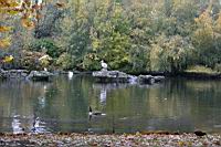 IMG_9814.JPG