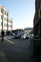 IMG_9861.JPG