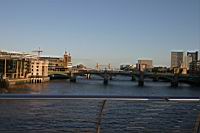 IMG_9863.JPG