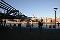 IMG_9866.JPG