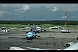 IMG_6557.jpg