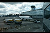 IMG_6559.jpg