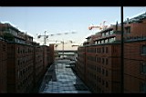 IMG_6575.jpg