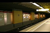 IMG_6584.jpg