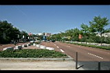 IMG_6616.jpg