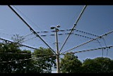 IMG_6626.jpg