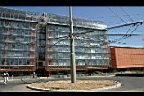 IMG_6627.jpg