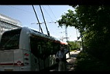 IMG_6630.jpg