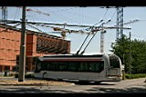 IMG_6631.jpg