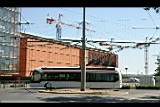 IMG_6632.jpg