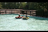 IMG_6636.jpg