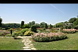 IMG_6640.jpg