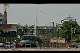 IMG_6732.jpg