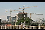 IMG_6733.jpg