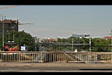 IMG_6734.jpg