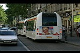 IMG_6741.jpg
