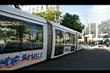 IMG_6758.jpg
