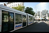 IMG_6759.jpg