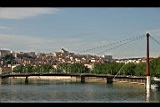 IMG_6779.jpg