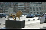 IMG_6780.jpg