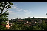 IMG_6787.jpg