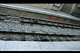 IMG_6793.jpg
