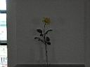 DSCN3721.JPG