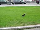 DSCN3736.JPG