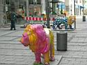 DSCN3763.JPG